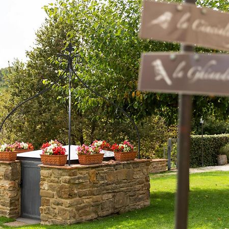 גוביו Agriturismo I Gelsi Di Santa Cristina מראה חיצוני תמונה