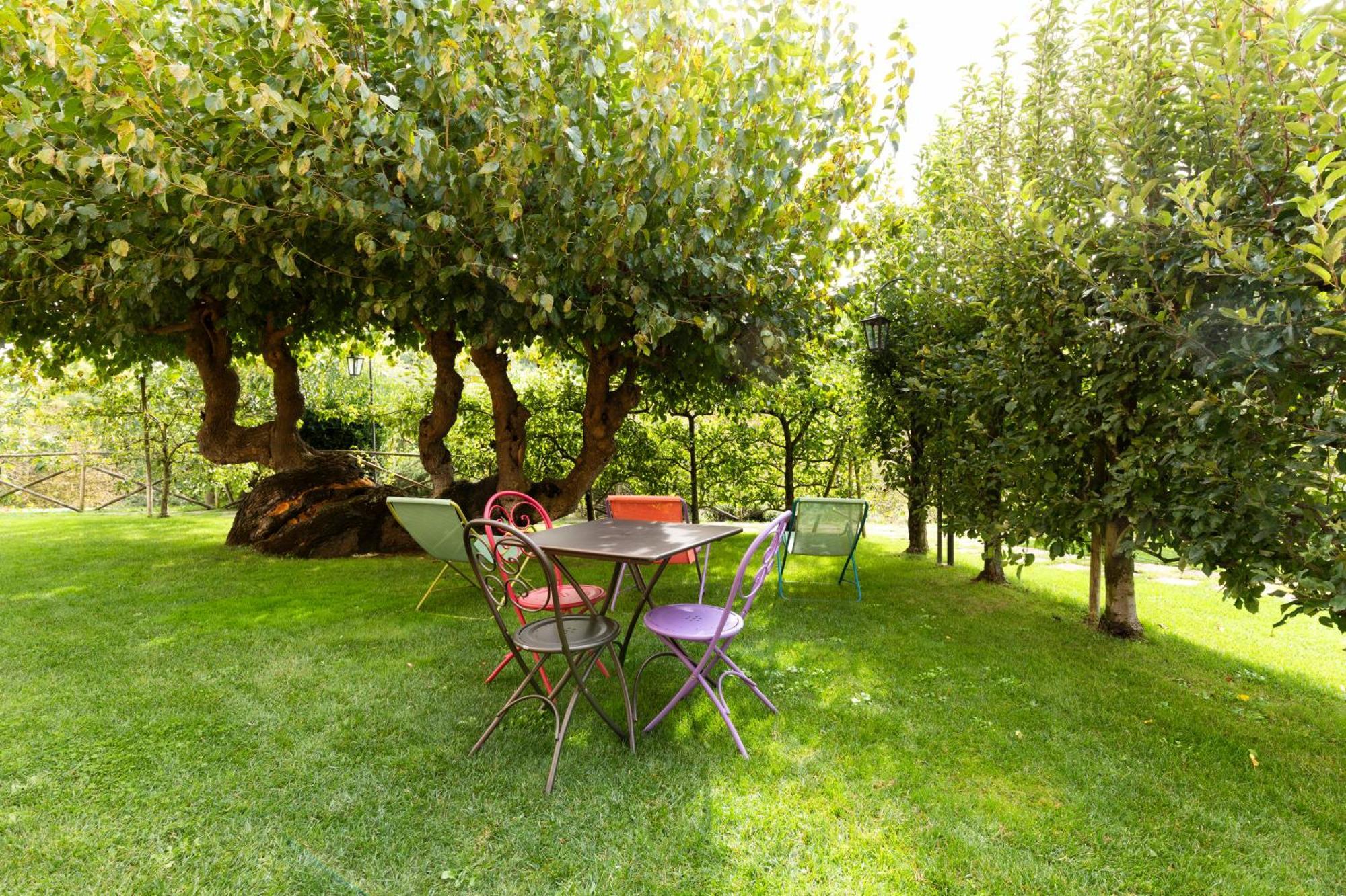 גוביו Agriturismo I Gelsi Di Santa Cristina מראה חיצוני תמונה