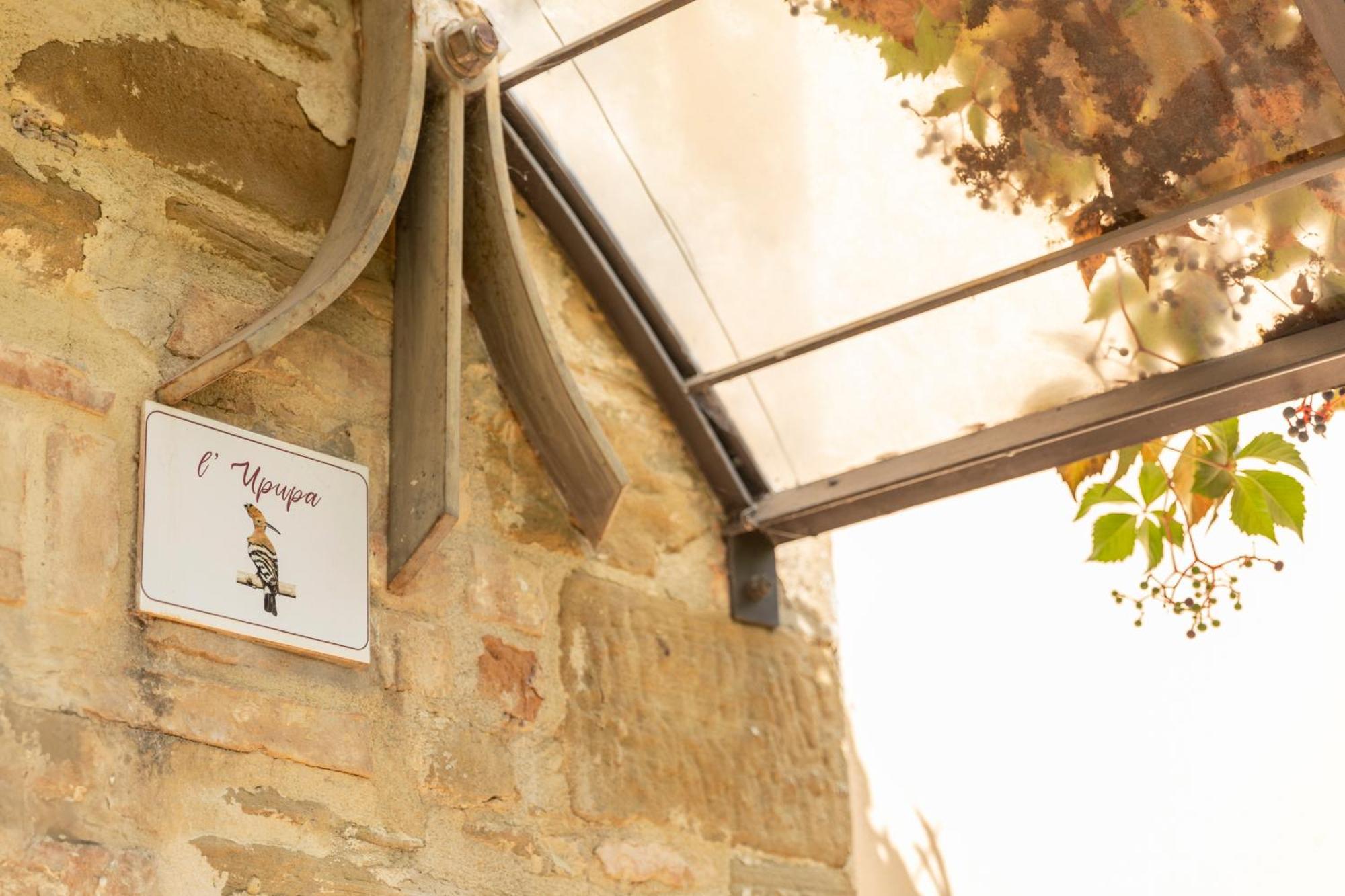 גוביו Agriturismo I Gelsi Di Santa Cristina מראה חיצוני תמונה